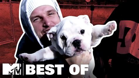 Is meaty the bulldog still alive. Things To Know About Is meaty the bulldog still alive. 